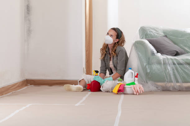 Reliable Mold Remediation contractor in Waverly, TN by WQB Mold Removal